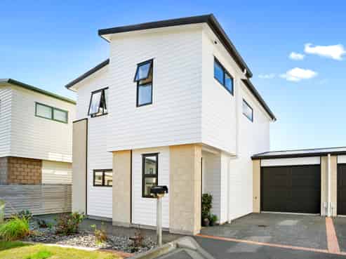 17 Latimer Way, Petone