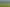 Mortgagee sale – large  landholding with options
