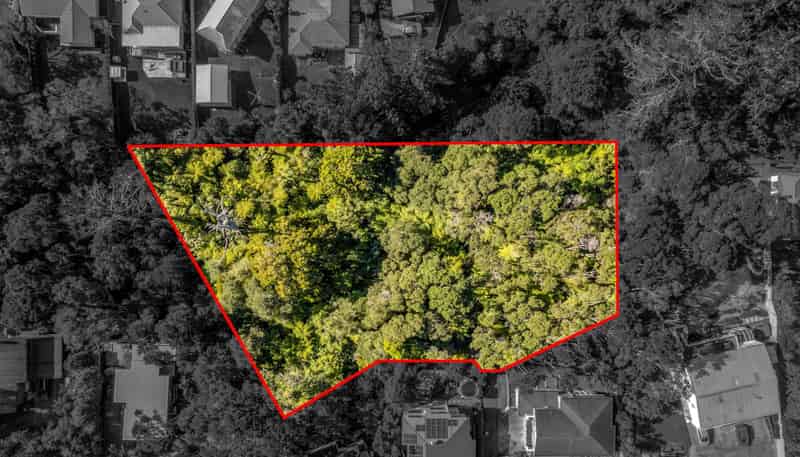 40D Konini Road, Titirangi