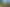 202 Milson Line, Milson