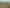 109A/ Lake Crescent, Hamilton Lake