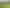 2242 State Highway 26, Morrinsville