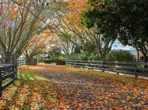 2242 State Highway 26, Morrinsville