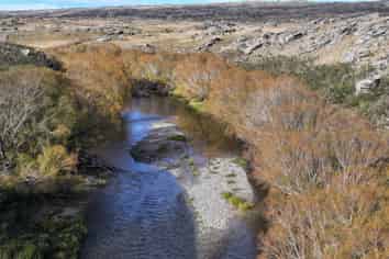 7797 Hyde-Middlemarch Road, Middlemarch