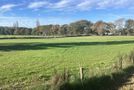 368 Dartmoor Road, Puketapu, Hastings, Hawkes Bay