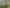 368 Dartmoor Road, Puketapu