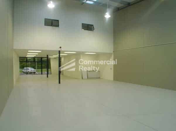 A Grade 360 Sqm In Penrose
