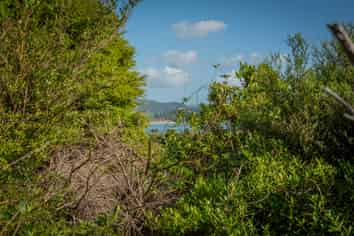 42 Radar Road, Hot Water Beach