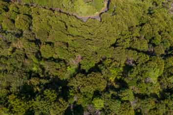 42 Radar Road, Hot Water Beach
