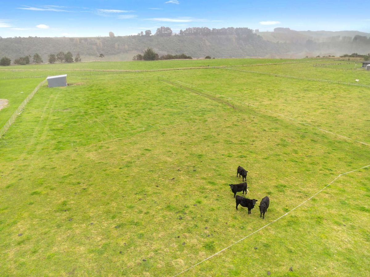 Dream Lifestyle Block -3.84 Acres in Kiwitea. - Mehr
