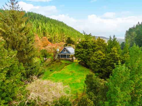 2005 Ongarue Stream Road, Waimiha-Ongarue