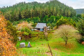 2005 Ongarue Stream Road, Waimiha