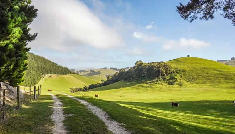 782 Glendhu Road, Greta Valley