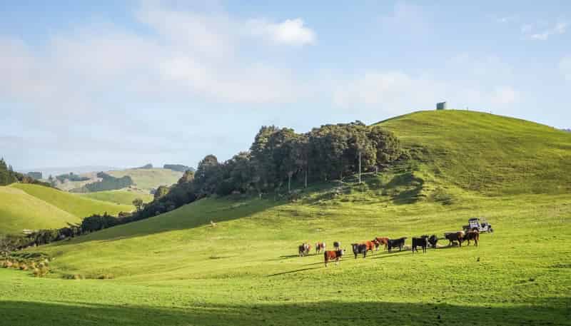 782 Glendhu Road, Greta Valley