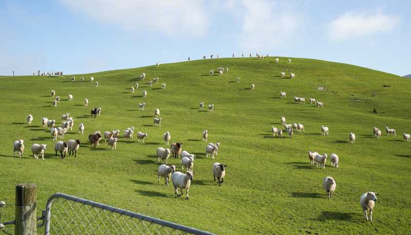 782 Glendhu Road, Greta Valley