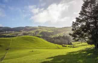 782 Glendhu Road, Greta Valley