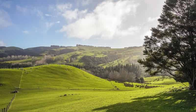 782 Glendhu Road, Greta Valley