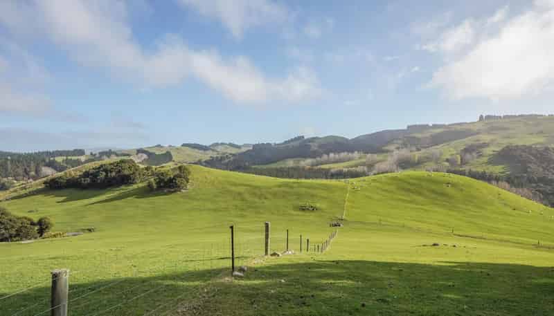 782 Glendhu Road, Greta Valley