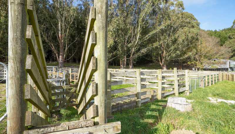 782 Glendhu Road, Greta Valley