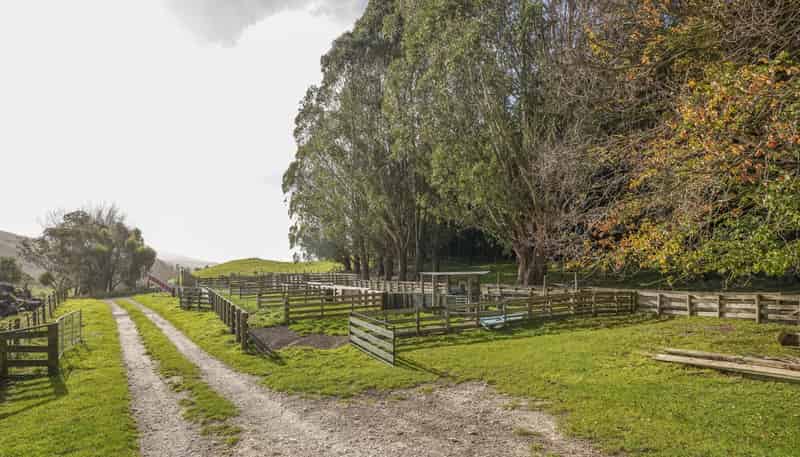 782 Glendhu Road, Greta Valley