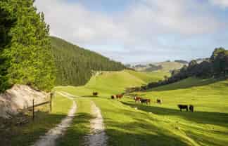 782 Glendhu Road, Greta Valley