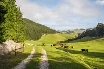 782 Glendhu Road, Greta Valley