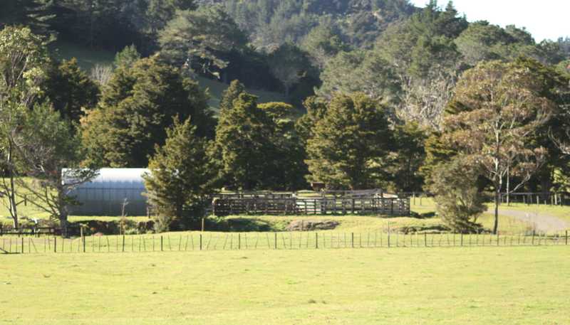 140 Kenana Road, Mangonui