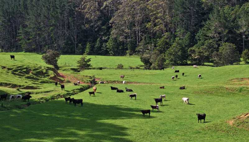 140 Kenana Road, Mangonui