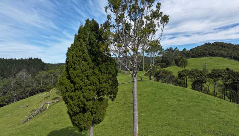 140 Kenana Road, Mangonui