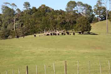 140 Kenana Road, Mangonui