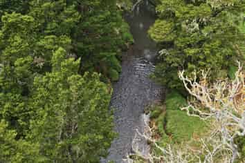 140 Kenana Road, Mangonui