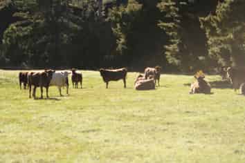 140 Kenana Road, Mangonui