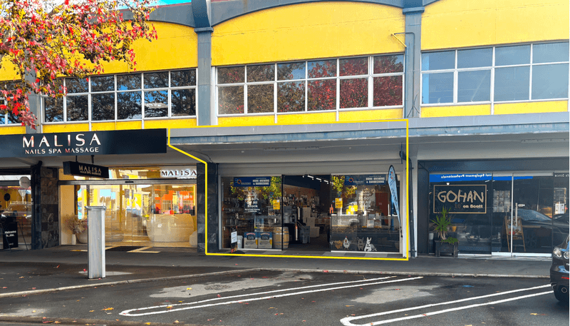 16A Scott Street, Blenheim