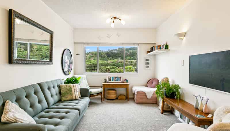 4/29 Hamilton Road, Hataitai