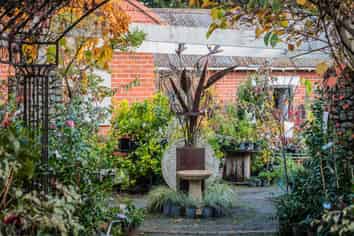 Historic home with thriving business