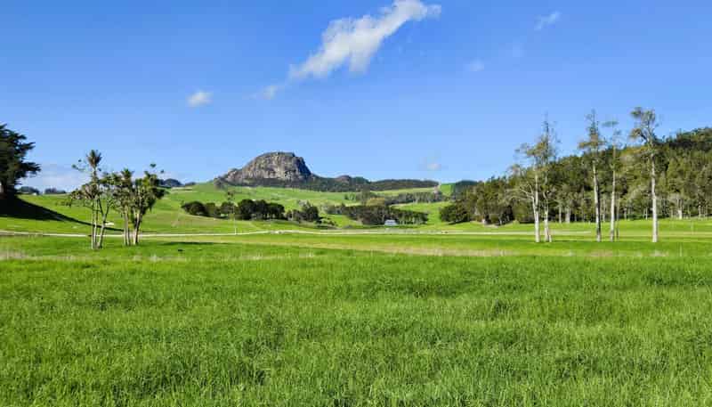 Lot 2 3035 Mititai Road, Dargaville