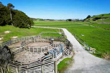 Lot 2 3035 Mititai Road, Dargaville