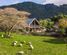 325D Rea Road, Katikati, Western Bay Of Plenty, Bay of Plenty