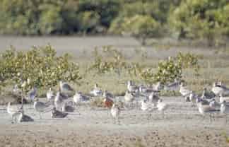 68D Tuparekura Road, South Head, Helensville