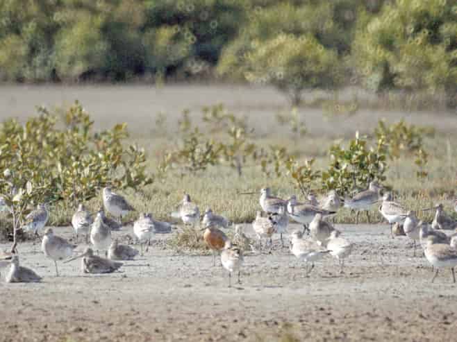 68D Tuparekura Road, South Head, Helensville