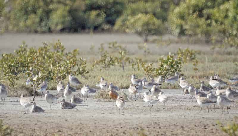 68D Tuparekura Road, South Head, Helensville