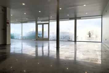892m2 Light Industrial Gem | Mount Roskill