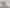 Visibility on Kaikorai Valley Rd