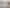 Visibility on Kaikorai Valley Rd