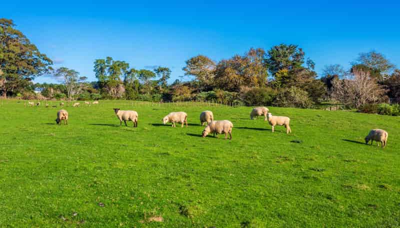 277 Taupaki Road, Taupaki