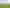1054 Orini Road, Orini