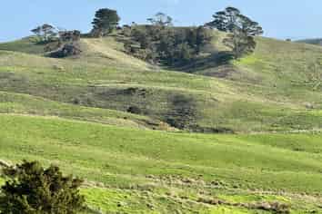  Hill Road, Maungaturoto