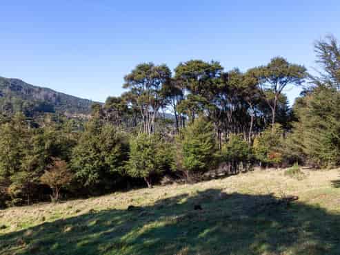 13  Tramway Road, Coromandel