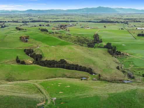 364 Quine Road, Morrinsville
