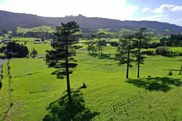 Lot 1 & 3 Helmsdale Road, Waipu